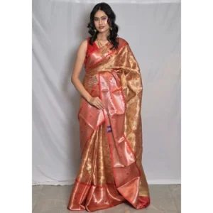 TISSUE SILK BANARASI BORDER